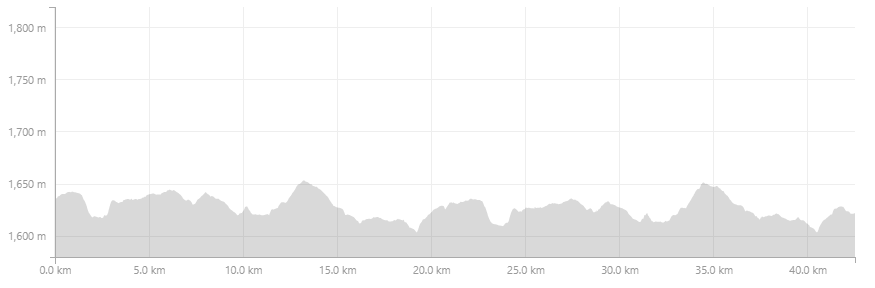 Race Profile