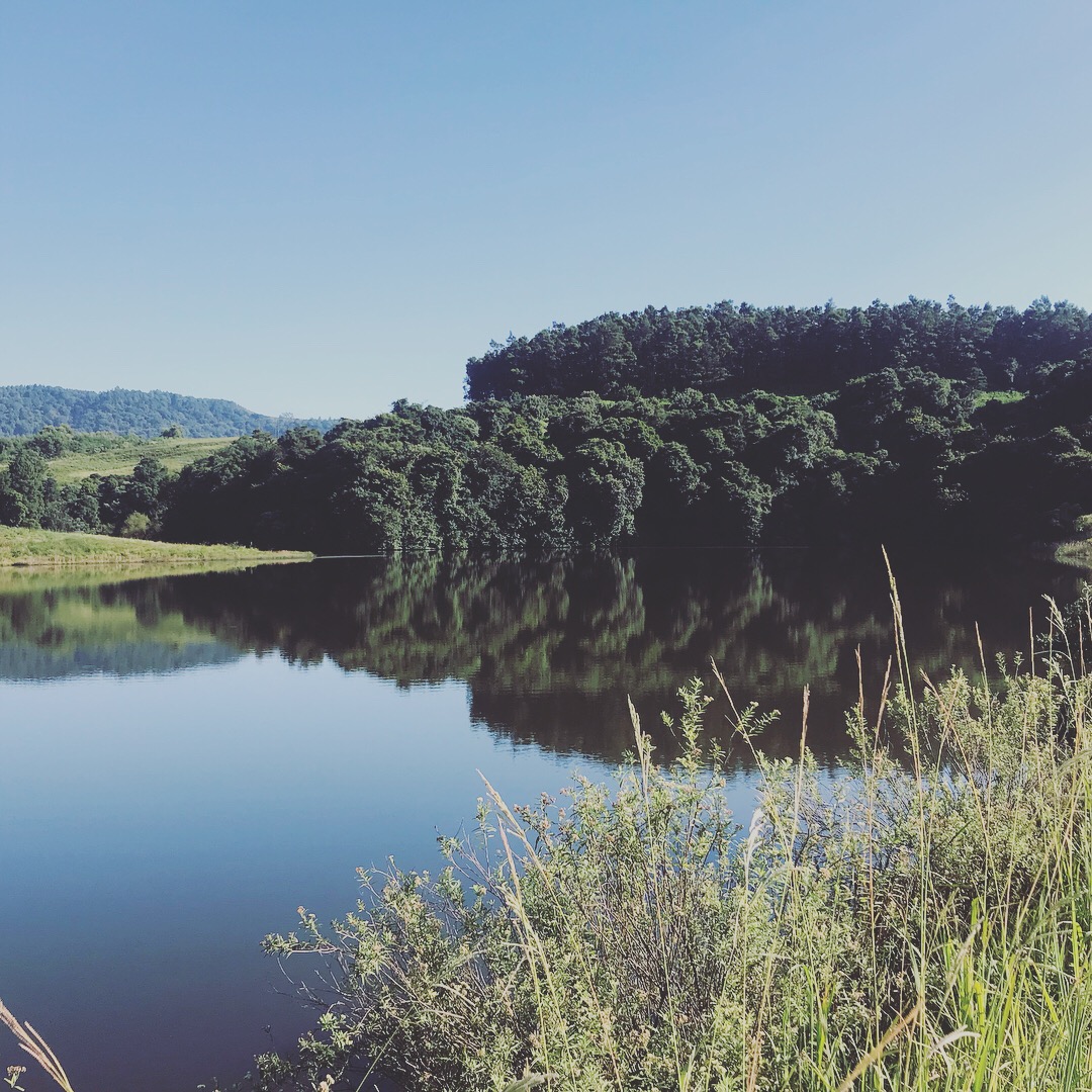 The Lake