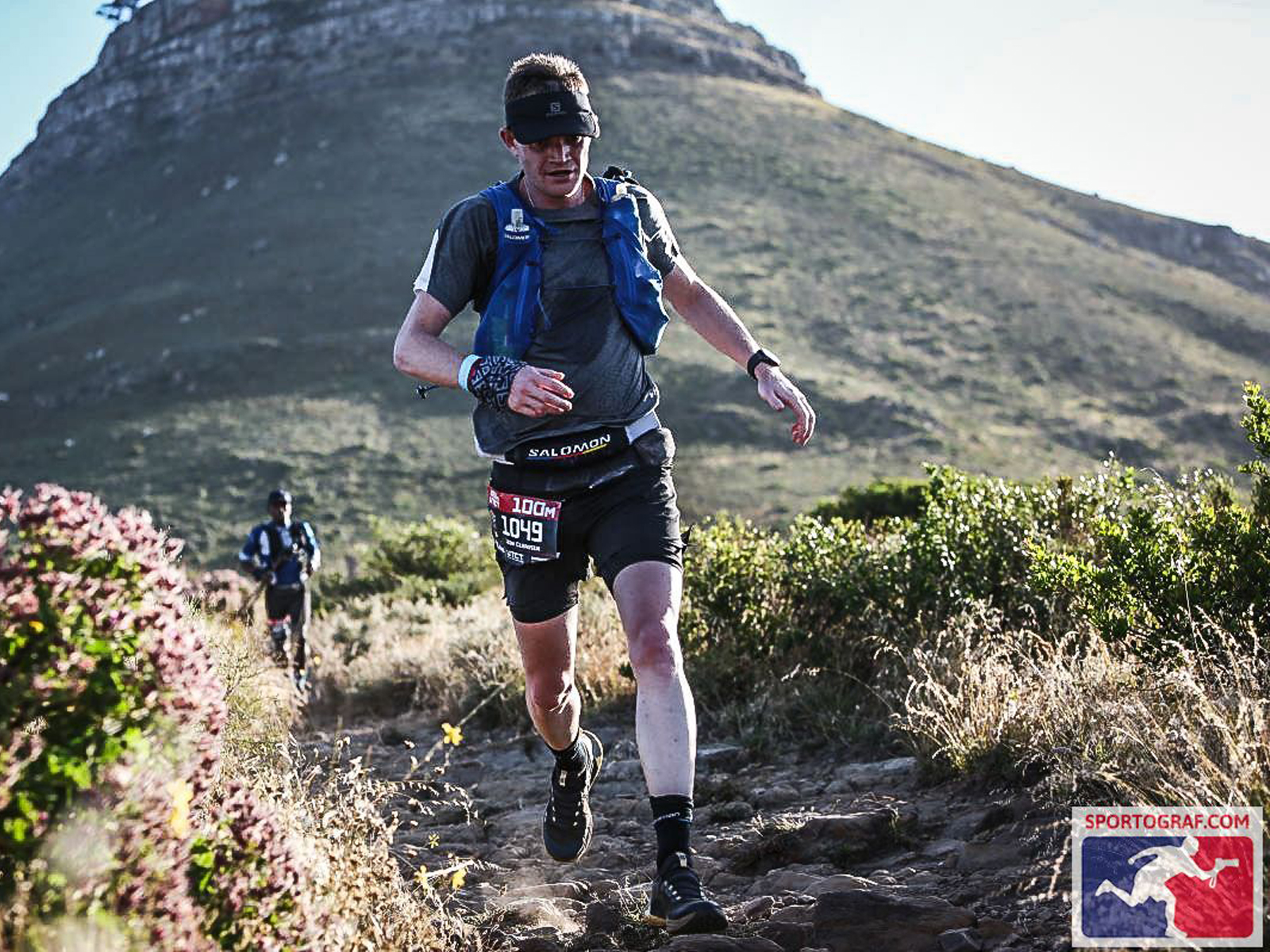 SIGNAL HILL | LION'S HEAD