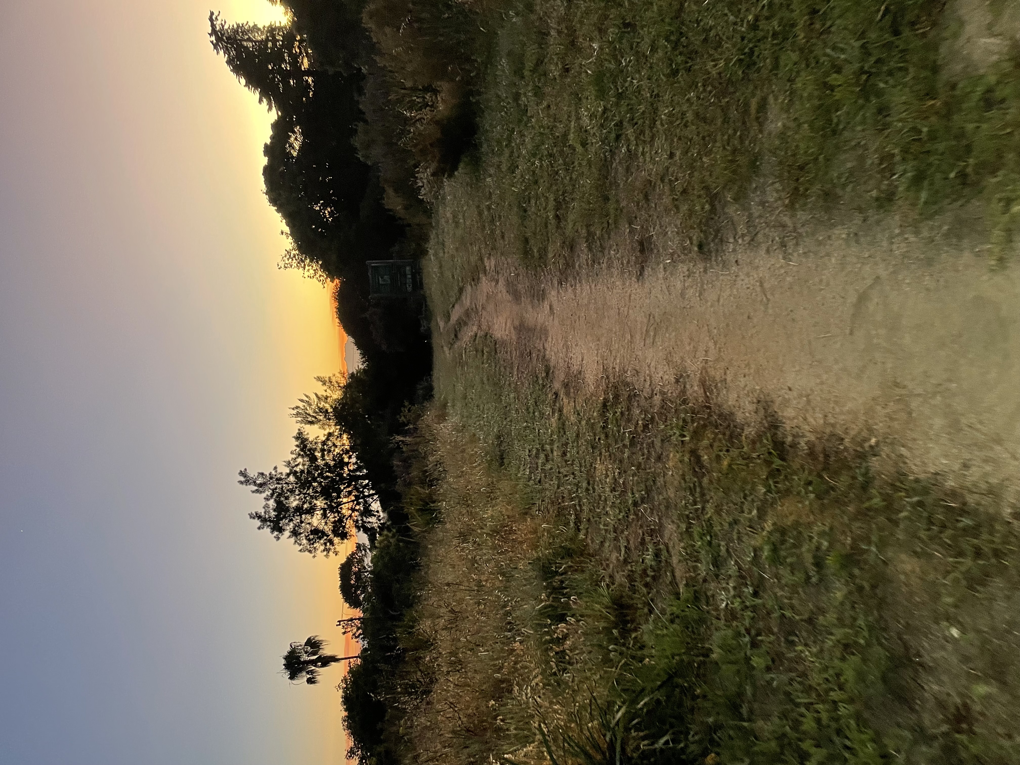 SECOND SUNRISE