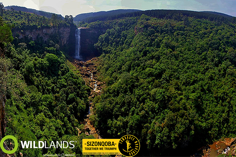 Wildlands & Comrades